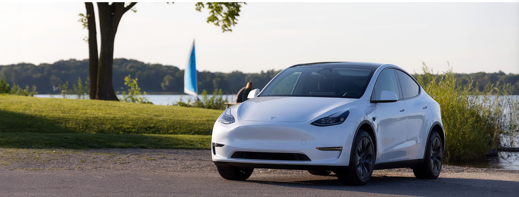 Alpine PSS-TSLA-223P