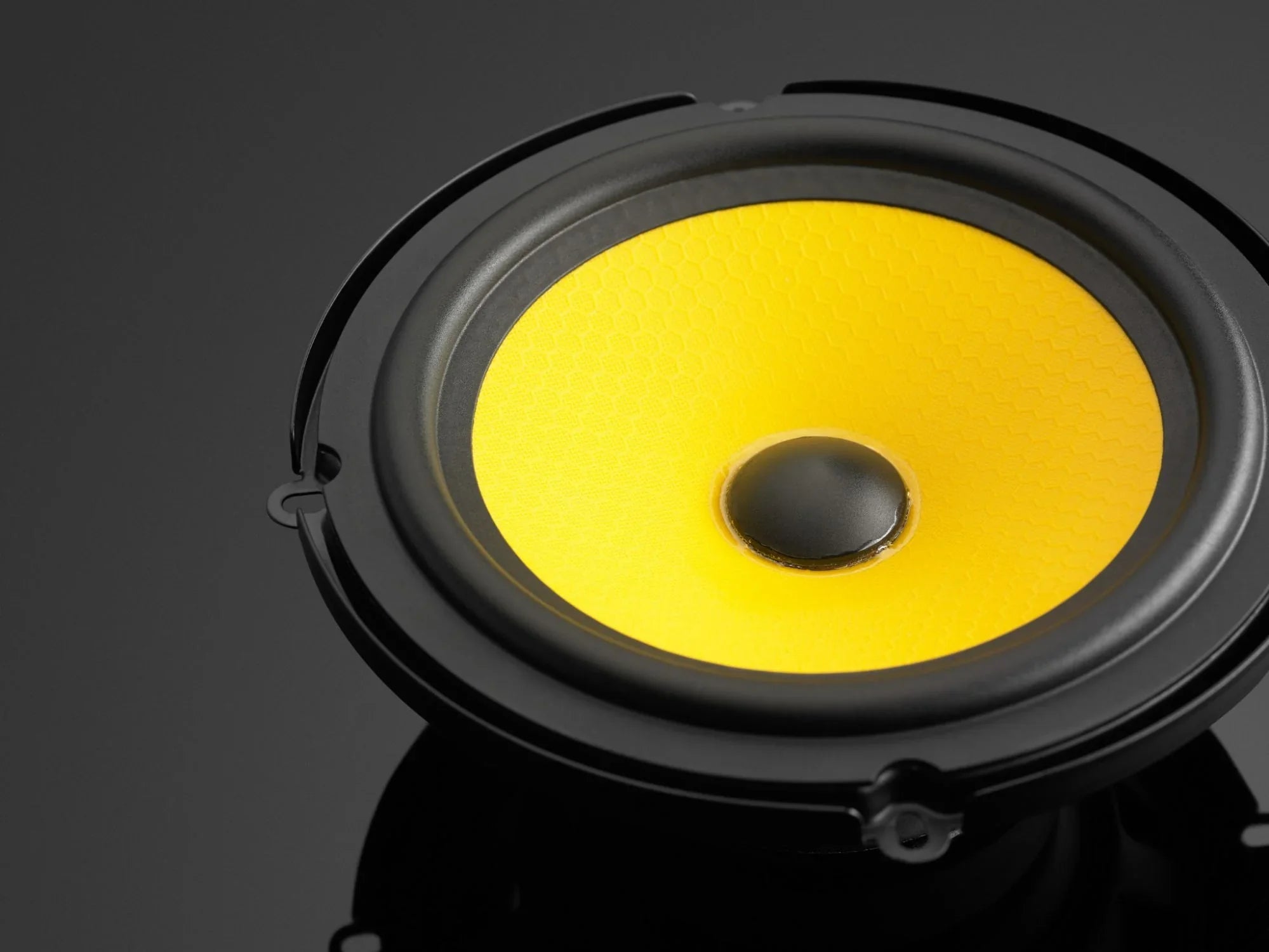 C1-650 - Elite Custom Sound