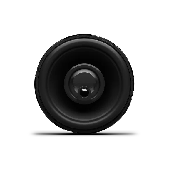 Rockford Fosgate P1V2-3