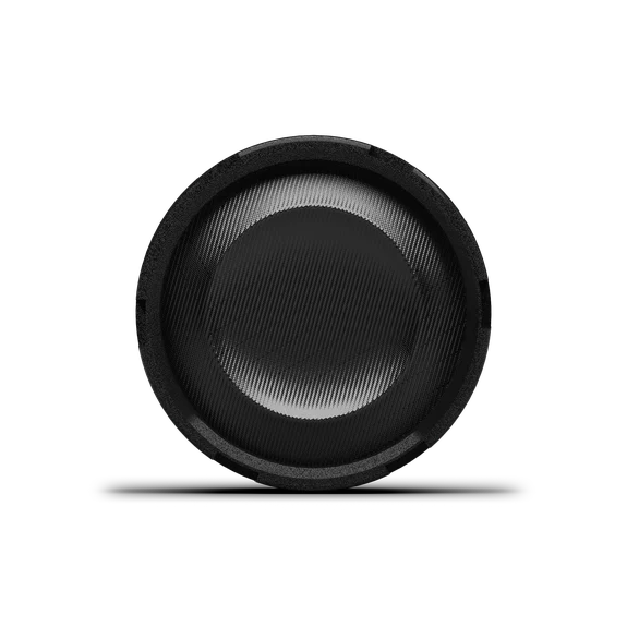 Rockford Fosgate P2V2-TS