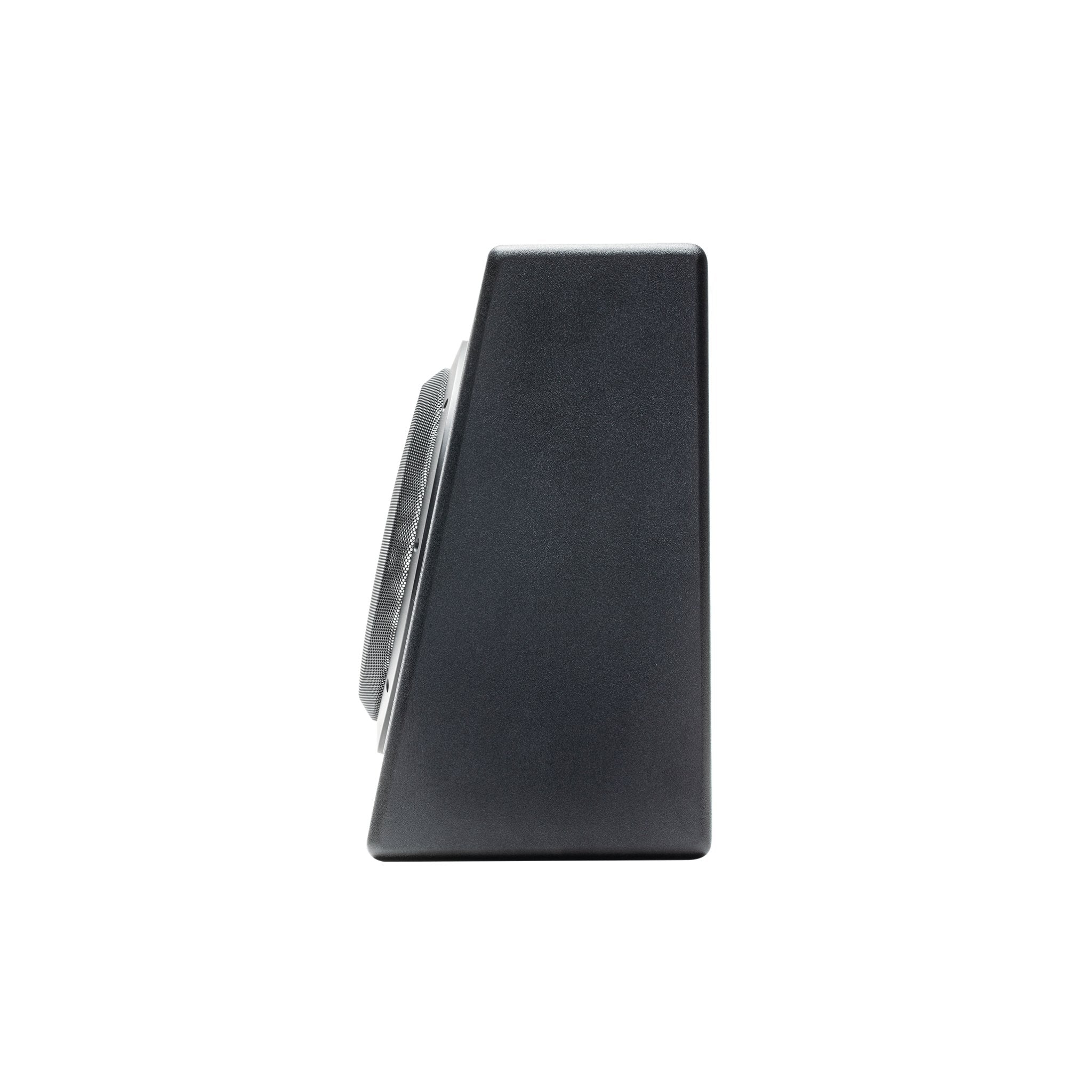 P300-10T - Elite Custom Sound