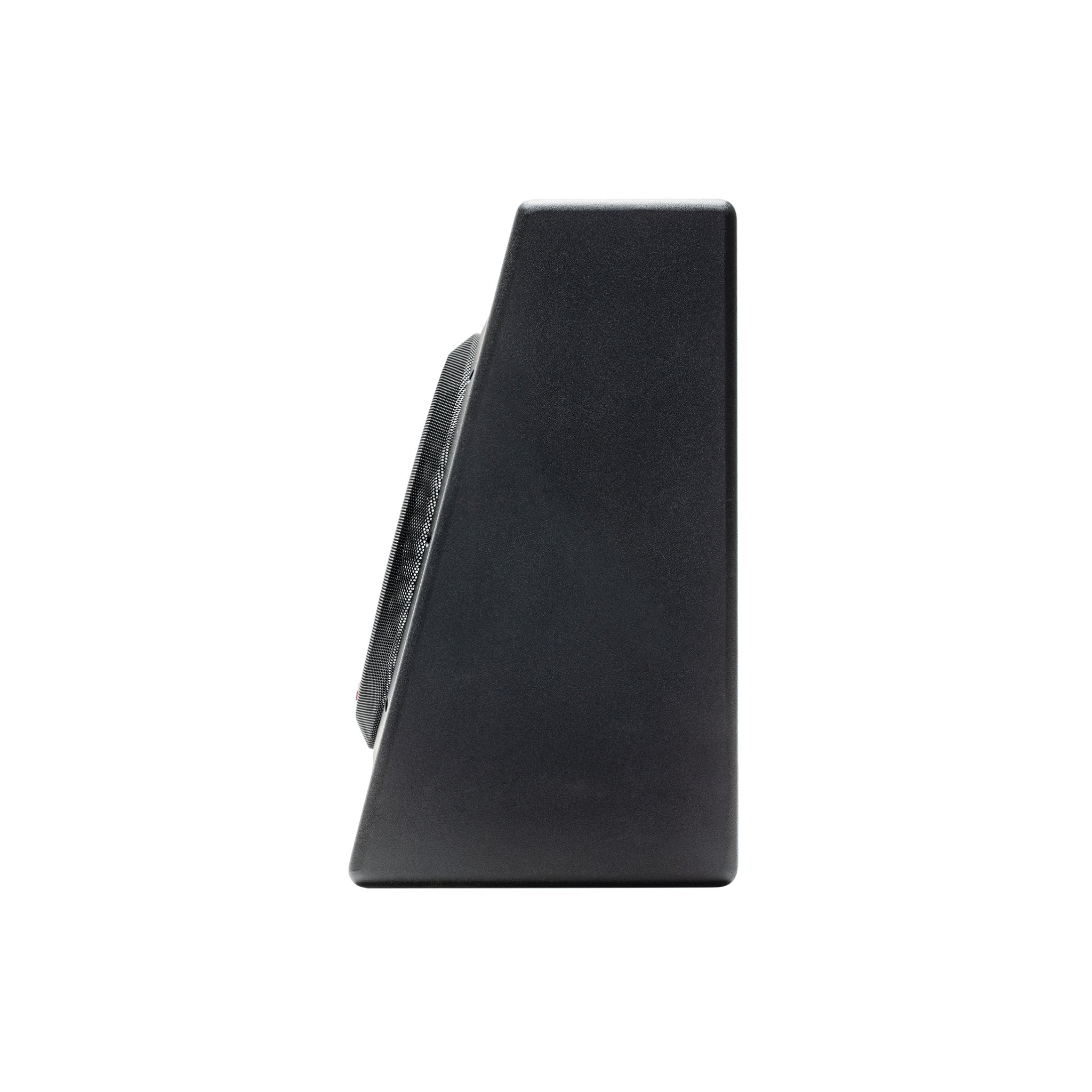 P300-12T - Elite Custom Sound